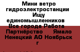 Мини ветро-гидроэлектростанции. Ищу единомышленников. - Все города Работа » Партнёрство   . Ямало-Ненецкий АО,Ноябрьск г.